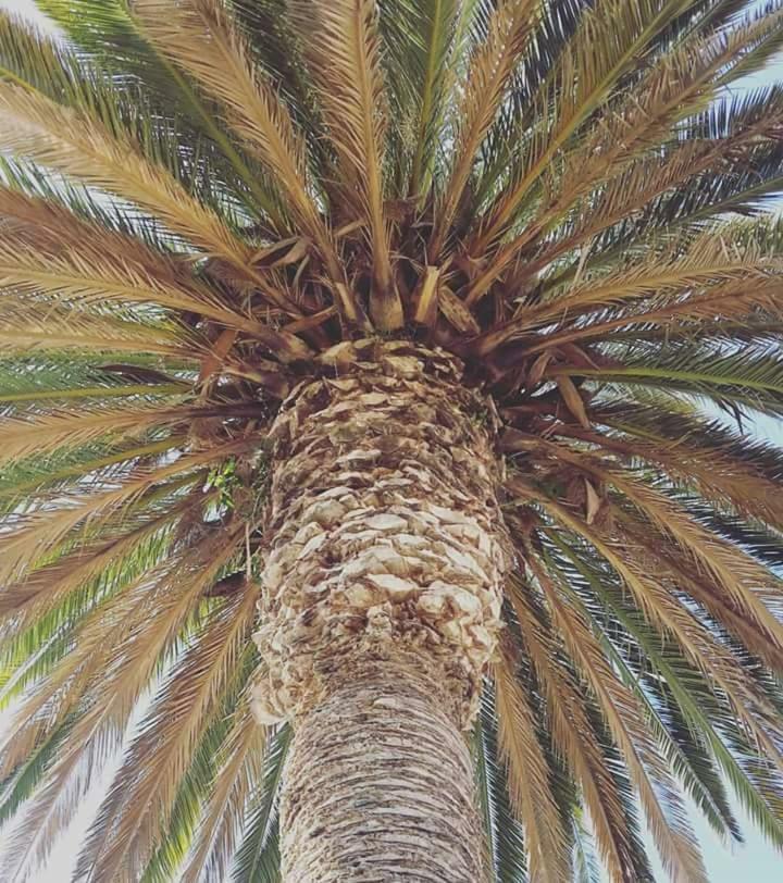 فيلا Baratili San Pietroفي Agriturismo Sa Pramma المظهر الخارجي الصورة